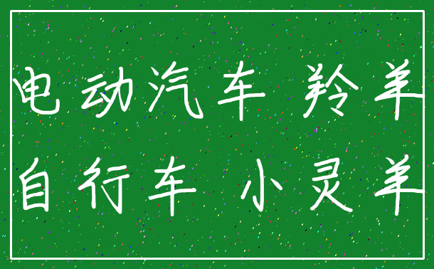 电动汽车 羚羊_自行车 小灵羊