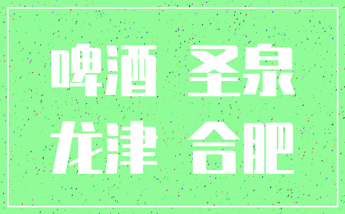 啤酒 圣泉_龙津 合肥