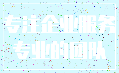 专注企业服务_专业的团队