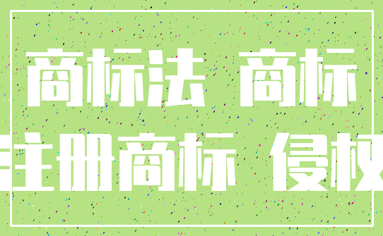 商标法 商标_注册商标 侵权