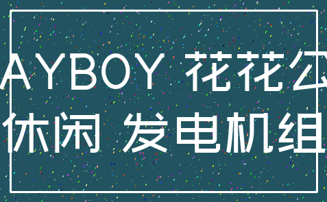 PLAYBOY 花花公子_休闲 发电机组