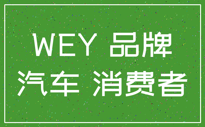 WEY 品牌_汽车 消费者